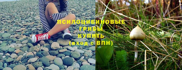 мет Алексеевка