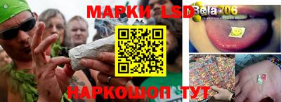 молекула духа Кулебаки