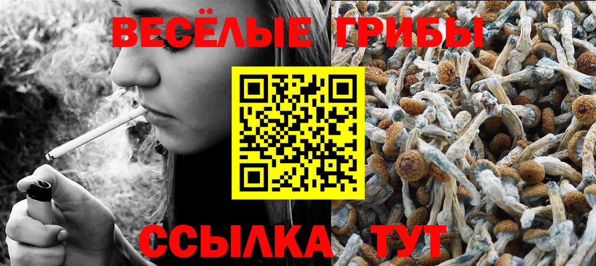 Галлюциногенные грибы Psilocybine cubensis  Псилоцибиновые грибы MAGIC MUSHROOMS  Подольск  Вход с VPN 