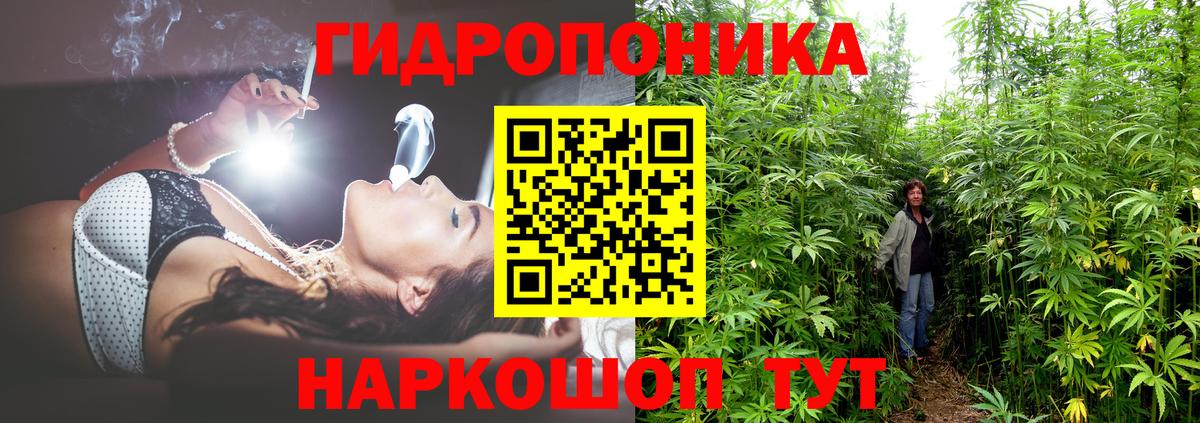 Бошки марихуана OG Kush Подольск